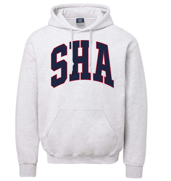MV Gray Hoodie
