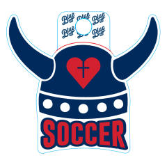 SOCCER STICKER