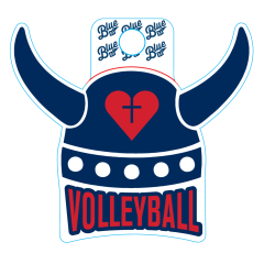 VOLLEYBALL STICKER